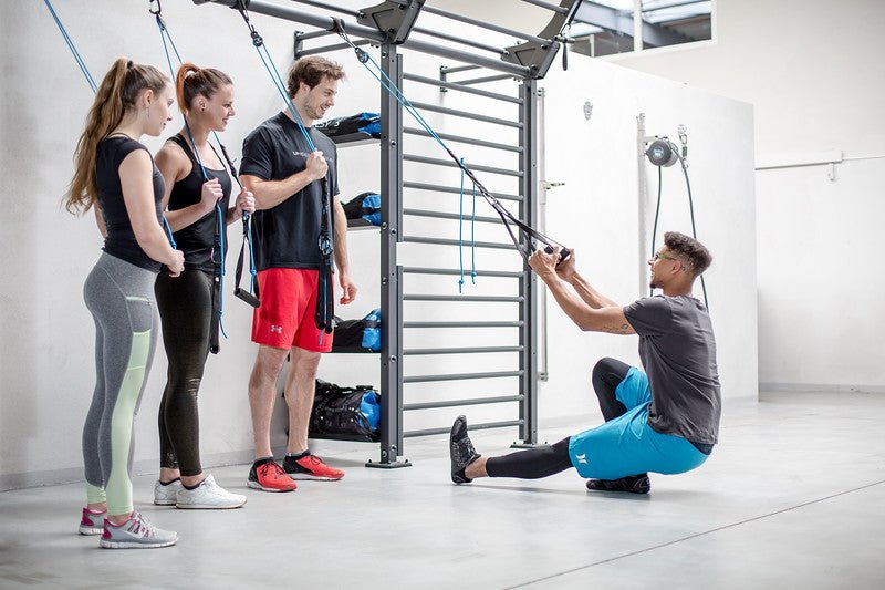 aeroSling ELITE sling trainer in use - full-body bodyweight training